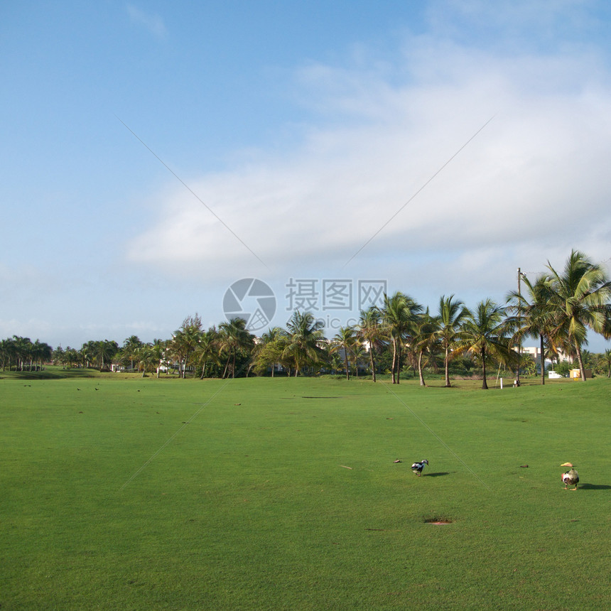 波多黎各度假村里科绿色天空旅行制作人摄影高尔夫球热带图片