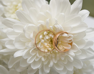 结婚戒指金子绿色菊花庆典花束花瓣已婚婚礼白色婚姻背景图片