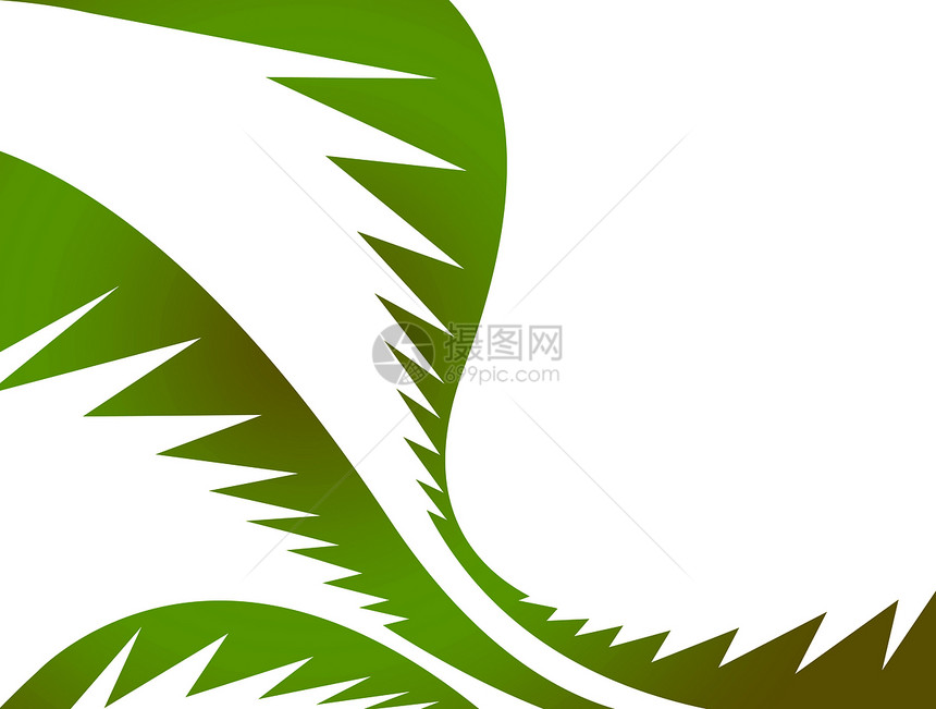 绿棕榈假插图树叶异国曲线冲浪叶子海洋热带情调分支机构图片