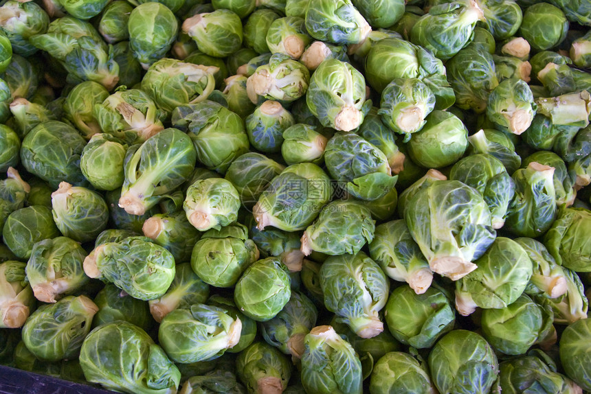 布鲁贝芽发芽植物绿色花园饮食维生素生产农贸市场食物豆芽图片