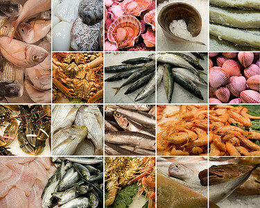 食物食品动物饮食栖息市场贝类鳕鱼龙虾甲壳海鲜牡蛎高清图片