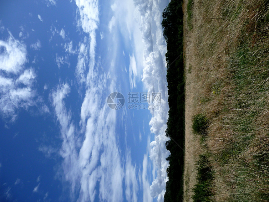 长草和蓝天空森林风景天空农村坡度生长树木景观公园国家图片