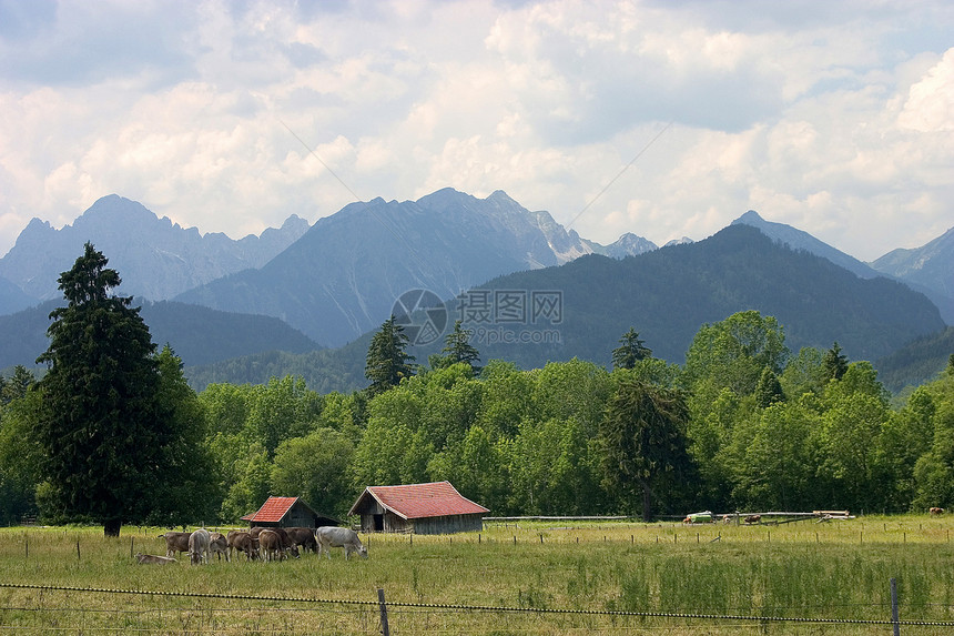 双 Weide蓝色大山远足绿色森林地景天空牧场山脉图片