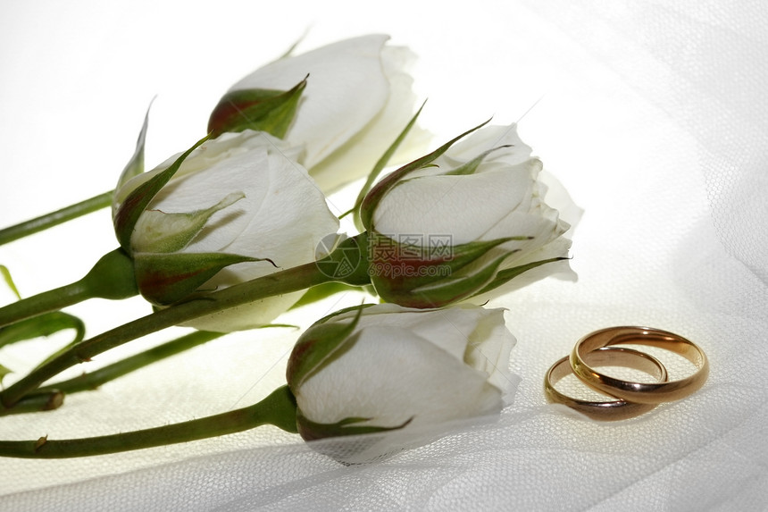 结婚戒指庆典新娘联盟婚礼妻子幸福珠宝金子白色夫妻图片