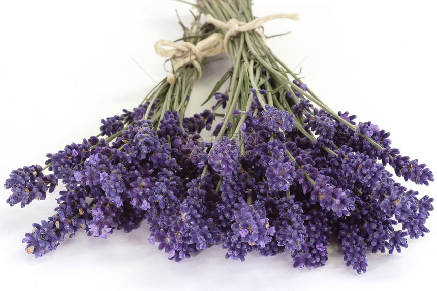 食用盐花园芳香花朵紫色蓝色疗法香味草本香气草本植物图片