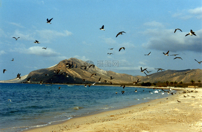 印度洋海滩旅行蓝色海洋支撑图片