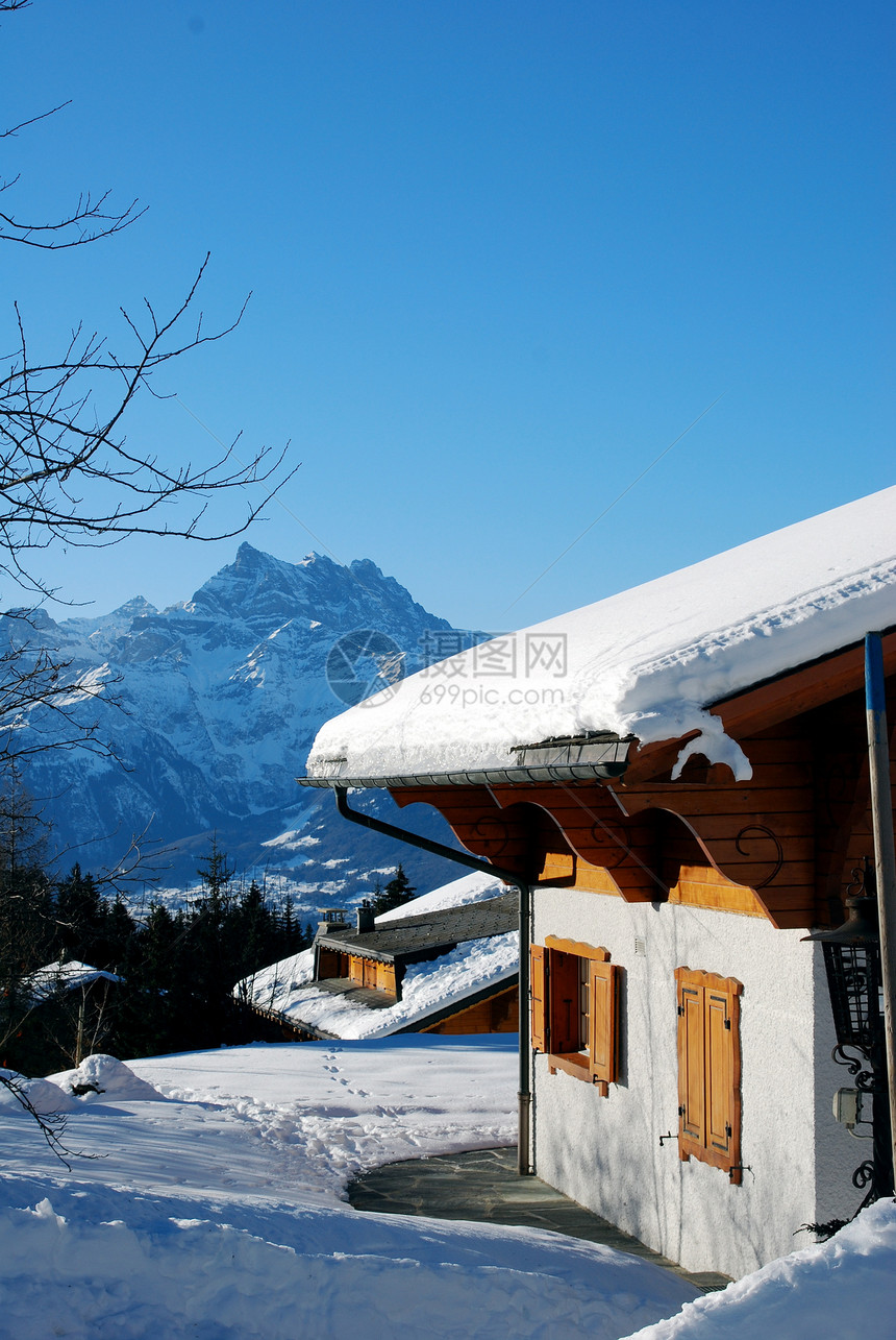 沙发小屋岩石恶棍冰川小木屋松树房子建筑住宅滑雪图片