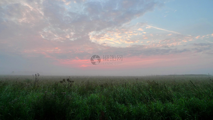 早晨雾薄雾地区图片
