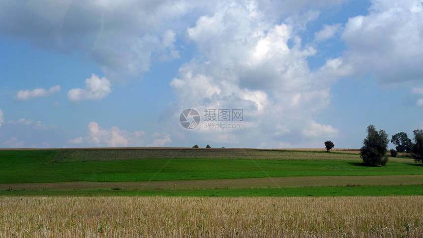 现场场景玉米晴天农作物种子天空绿色乡村花园场地白色图片