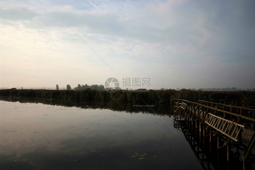 费德西湖自然石头海岸线森林支撑树木娱乐银行边缘海岸图片