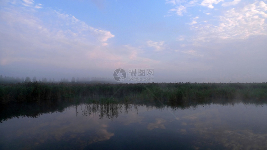 米丝湖海岸石头娱乐支撑森林海岸线银行自然树木边缘图片