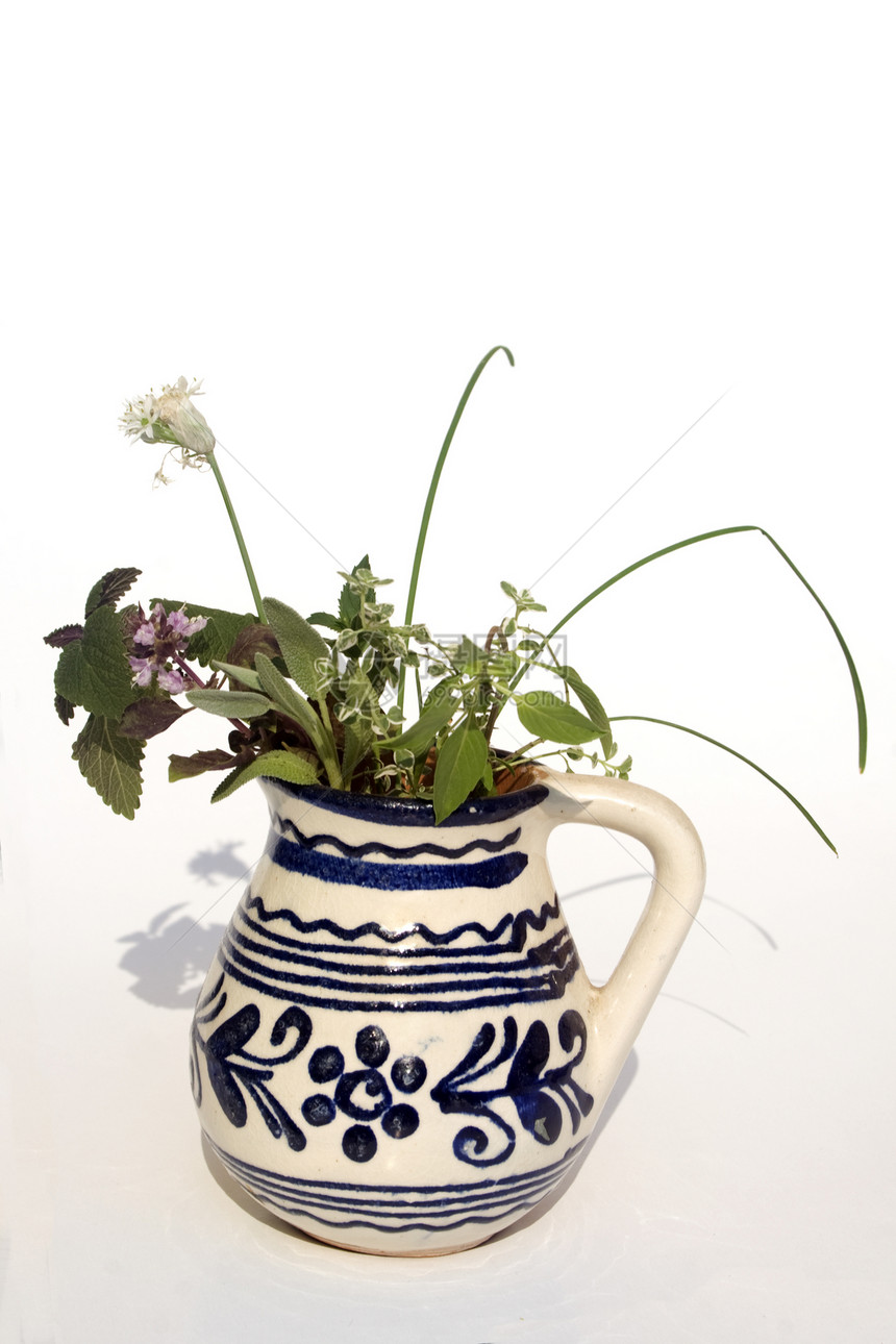 花瓶中的新鲜草药植物韭菜叶子树叶丹参采摘草本植物投手香葱疗法图片