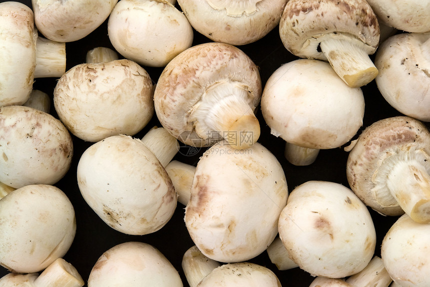 蘑菇背景背景食物菌类菜单饮食美食厨房白色味道季节烹饪图片
