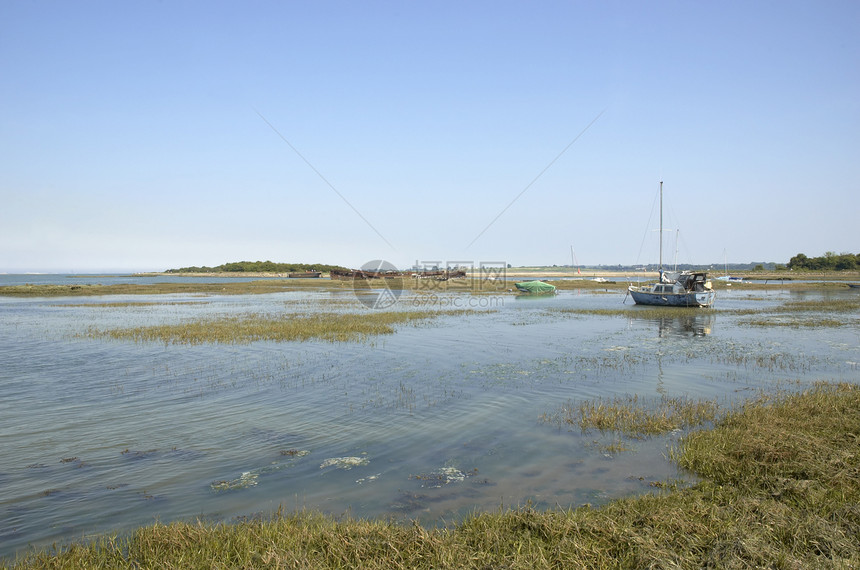 小船交通海滩闲暇海岸线方式沼泽游艇芦苇图片