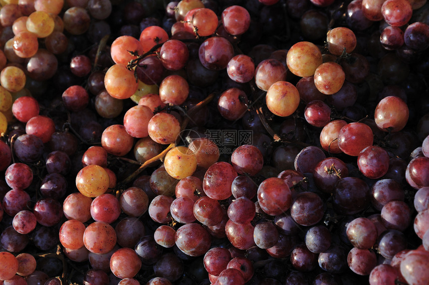 红葡萄小吃食物团体甜点市场农民水果晴天杂货店销售图片