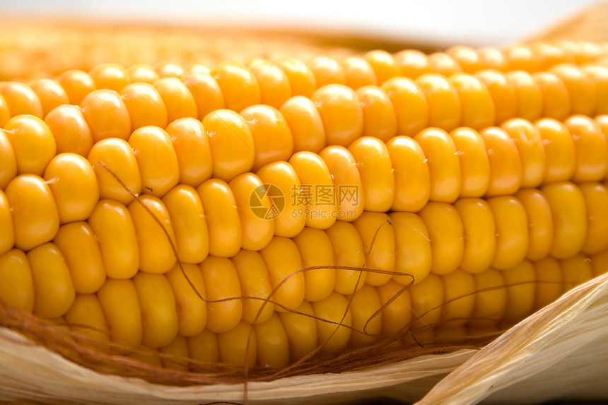 玉米谷物黄色蔬菜棒子收获食物宏观叶子图片