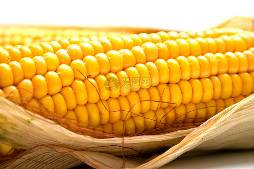 收获的玉米蔬菜食物黄色叶子宏观谷物棒子图片