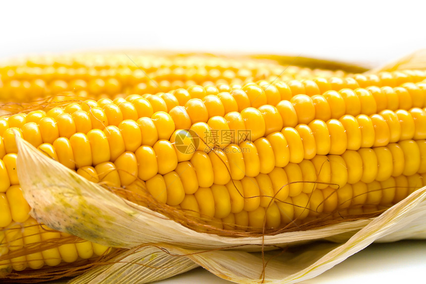 新鲜收获的玉米宏观谷物叶子蔬菜食物棒子黄色图片