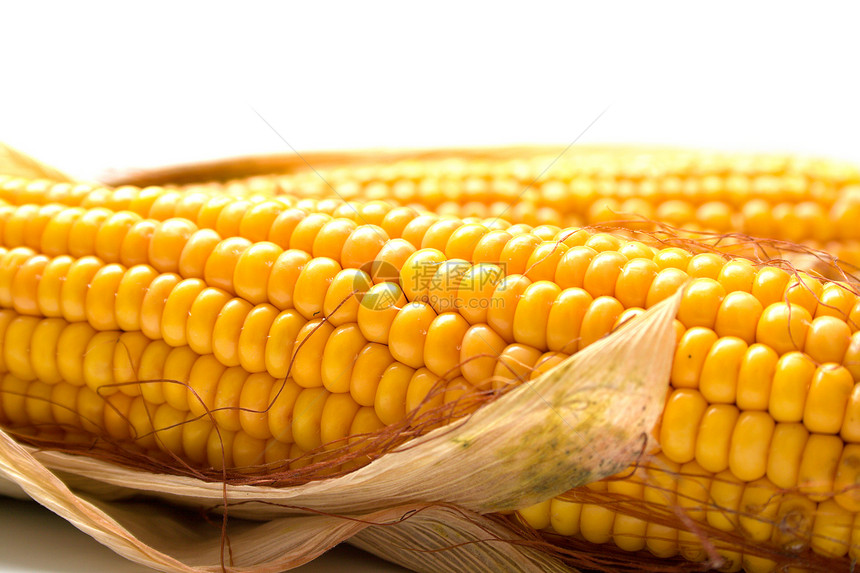 新鲜收获的玉米食物宏观叶子蔬菜谷物棒子黄色图片