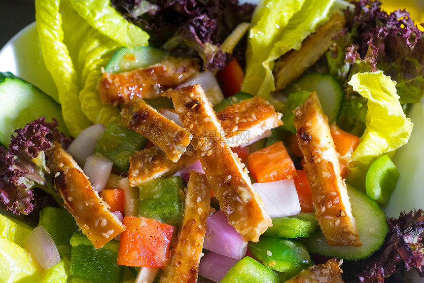 芝麻鸡肉沙拉叶子营养餐厅洋葱树叶食物午餐蔬菜小吃美食图片