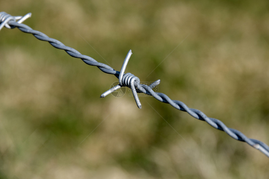 刺线威慑危险倒钩绿色路障监狱栅栏安全金属铁丝网图片