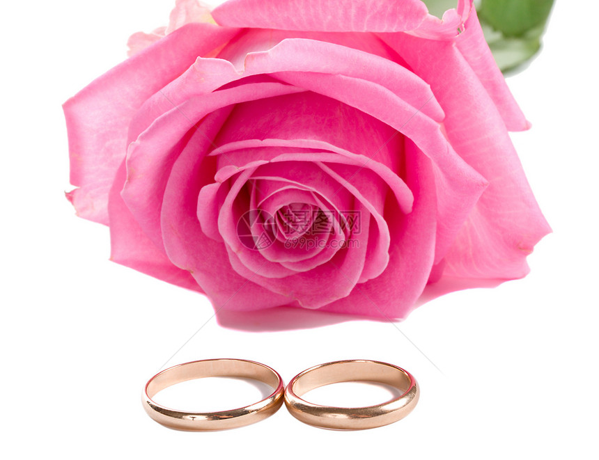 粉红玫瑰和两个结婚戒指图片