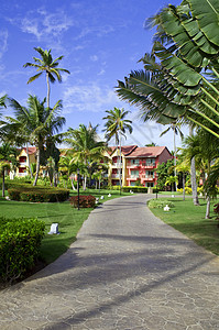 热带热带度假胜地棕榈酒店旅行天堂天空假期旅游高清图片