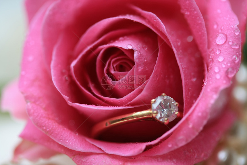 在一个湿玫瑰的钻石订婚戒指图片