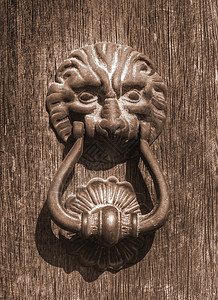狮子头顶木头装饰品金属生物背景图片