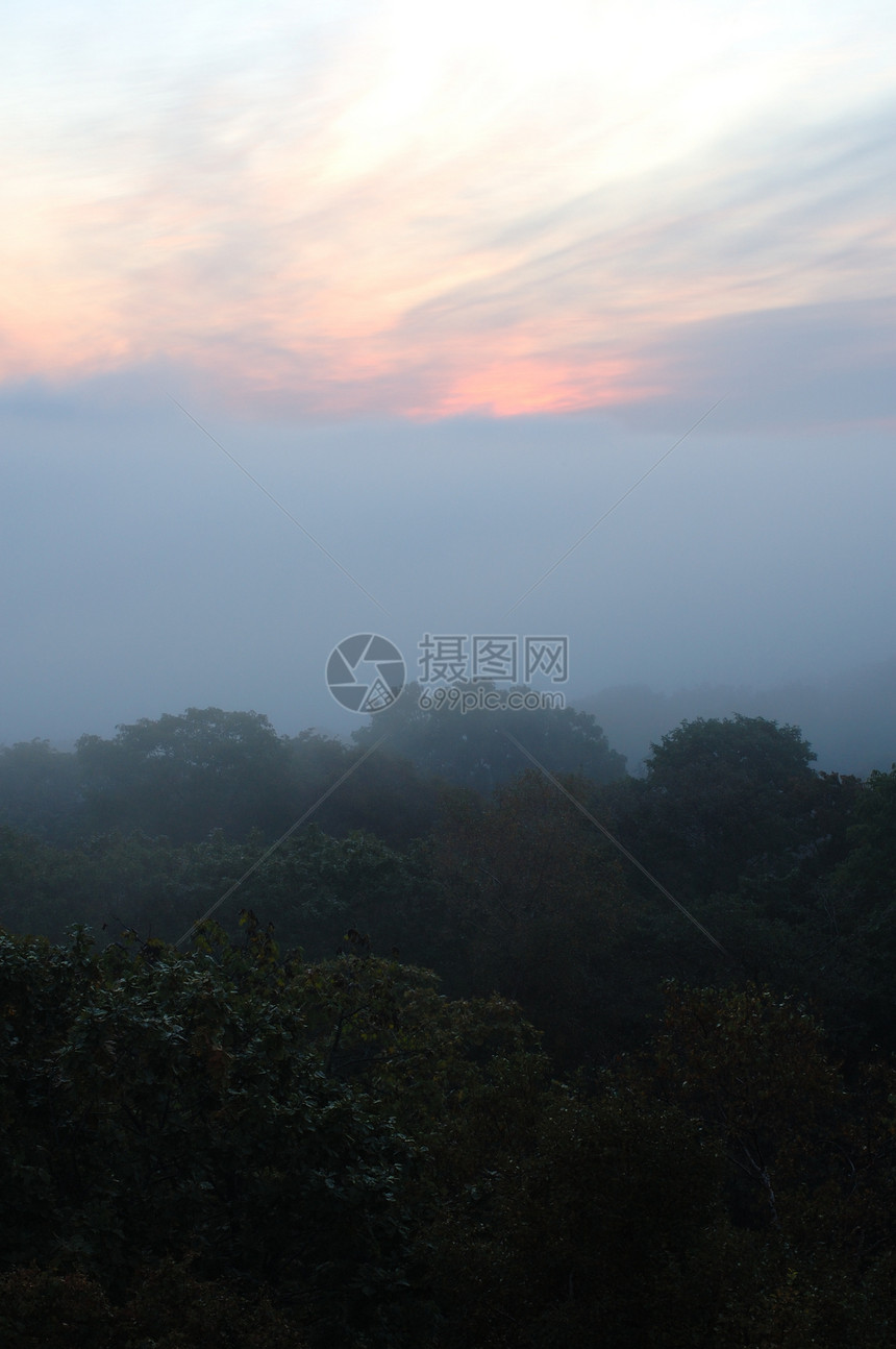 福吉Hazy森林和红色日出白色植物群蓝色风景灰色粉色天空绿色太阳棕色图片