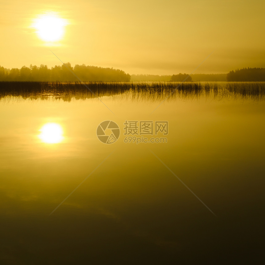 湖边日出农村环境旅行植物树木叶子反射公园蓝色假期图片