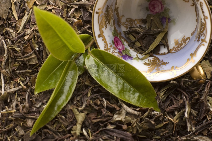 茶绿色树叶叶子杯子宏观植物草本植物图片