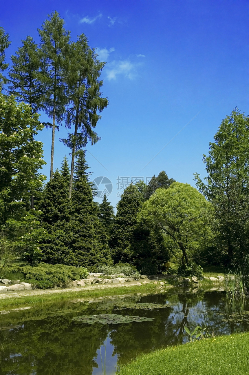 夏季风景湖农村森林场地公园草地爬坡楼梯快乐生态地平线图片