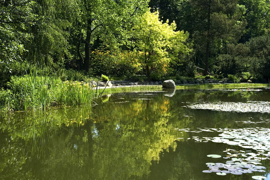 夏季风景湖楼梯幸福小路风景爬坡季节草地高尔夫球国家天空图片