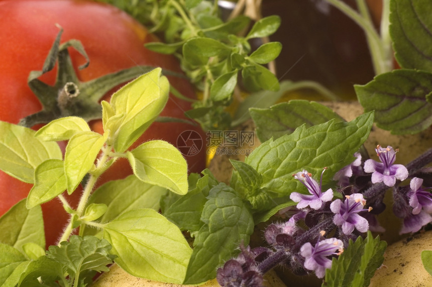 切开新鲜的草药和蔬菜味道香料叶子夹层维生素食物芳香市场香菜季节图片