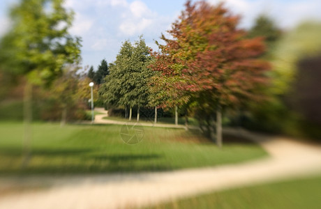 透视效果树叶彩虹色绿色创意颜色花园红色公园草地森林背景图片