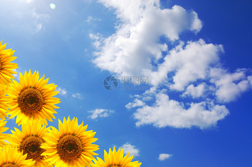 夏季太阳和复制空间活力天空晴天蓝色环境黄色卡片天气季节性草地图片