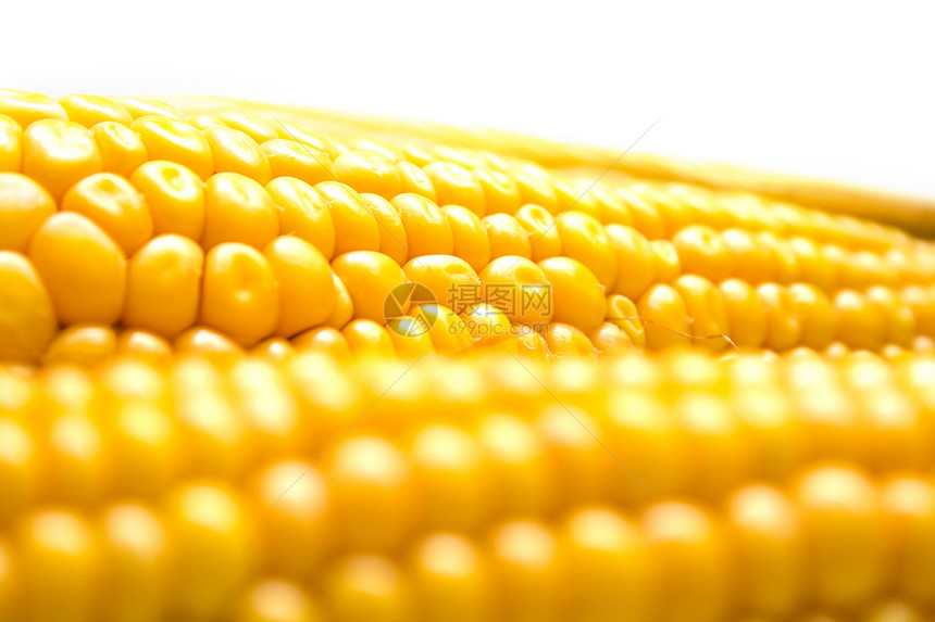 玉米背景宏观谷物叶子食物黄色棒子收获蔬菜图片