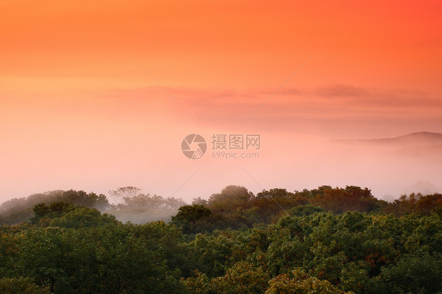 福吉Hazy森林白色荒野日落天空风景木头太阳粉色植物群灰色图片