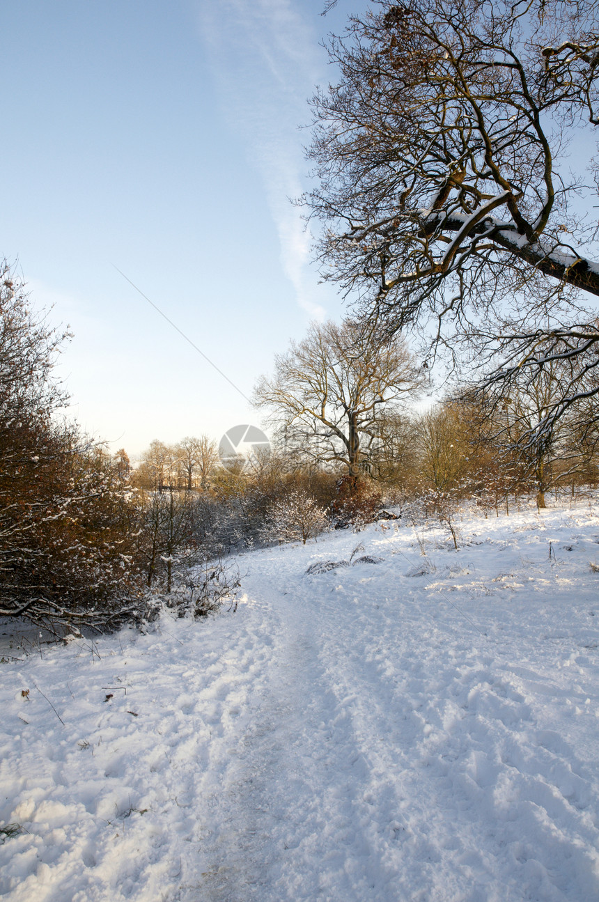 冬天公园场地天空冻结小路场景曲目国家风景天气图片