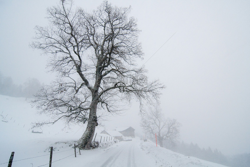 冬季农村景观小径阴霾雪堆双音天气色调季节孤独场景风景图片