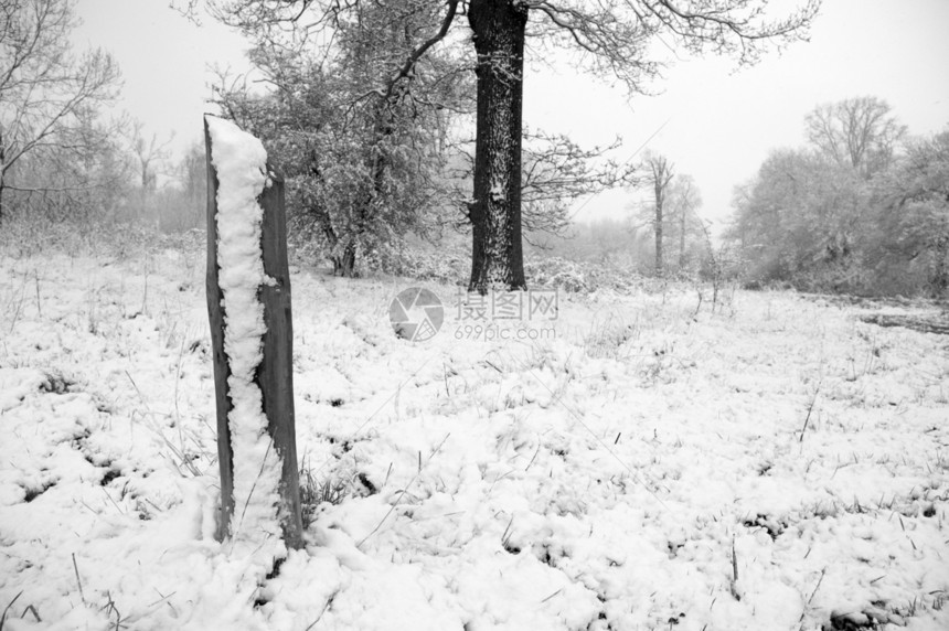 白雪柱邮政栅栏树木场地黑色公园白色图片