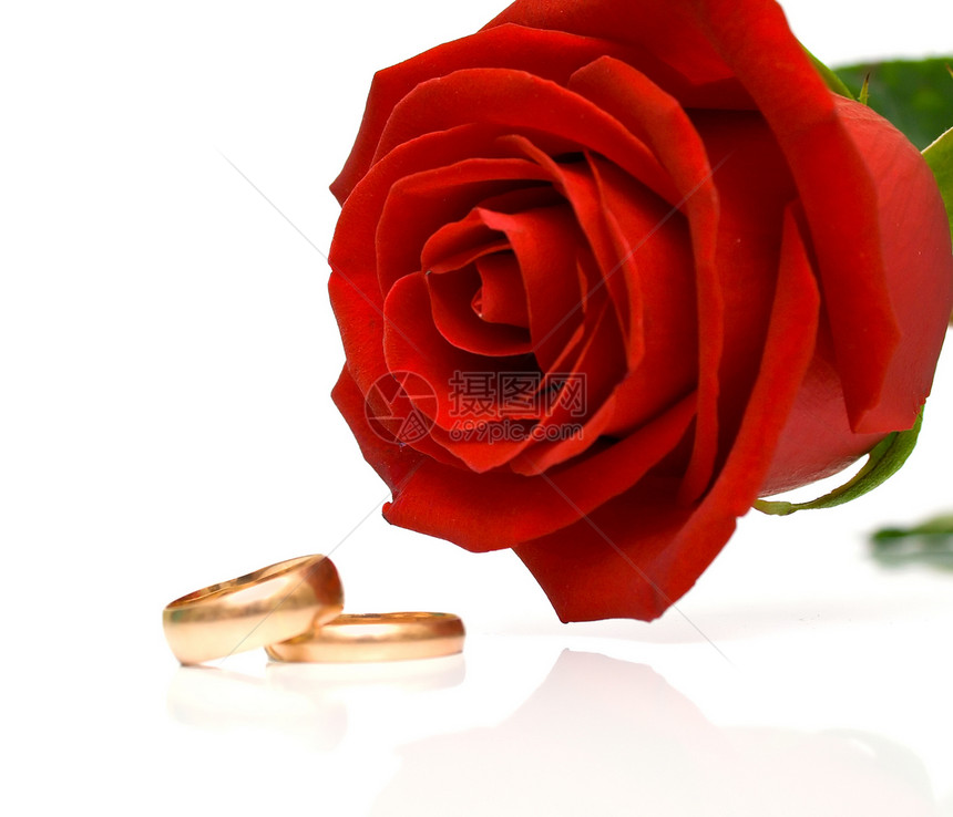 圆环和红玫瑰戒指浪漫红色黄色婚礼白色玫瑰已婚金子婚姻图片