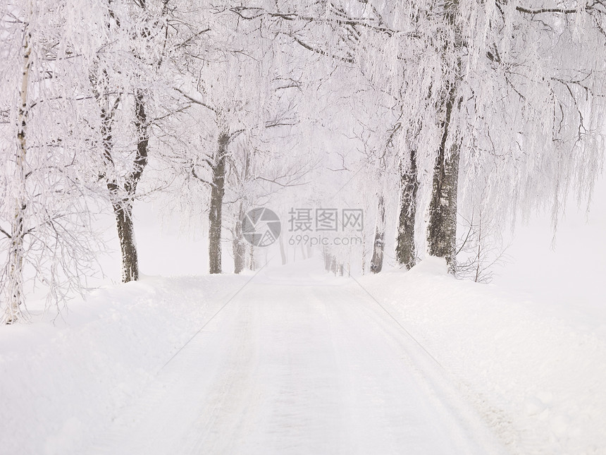 冬季公路温度森林雪堆小路大路人行道季节寒意蓝色大街图片