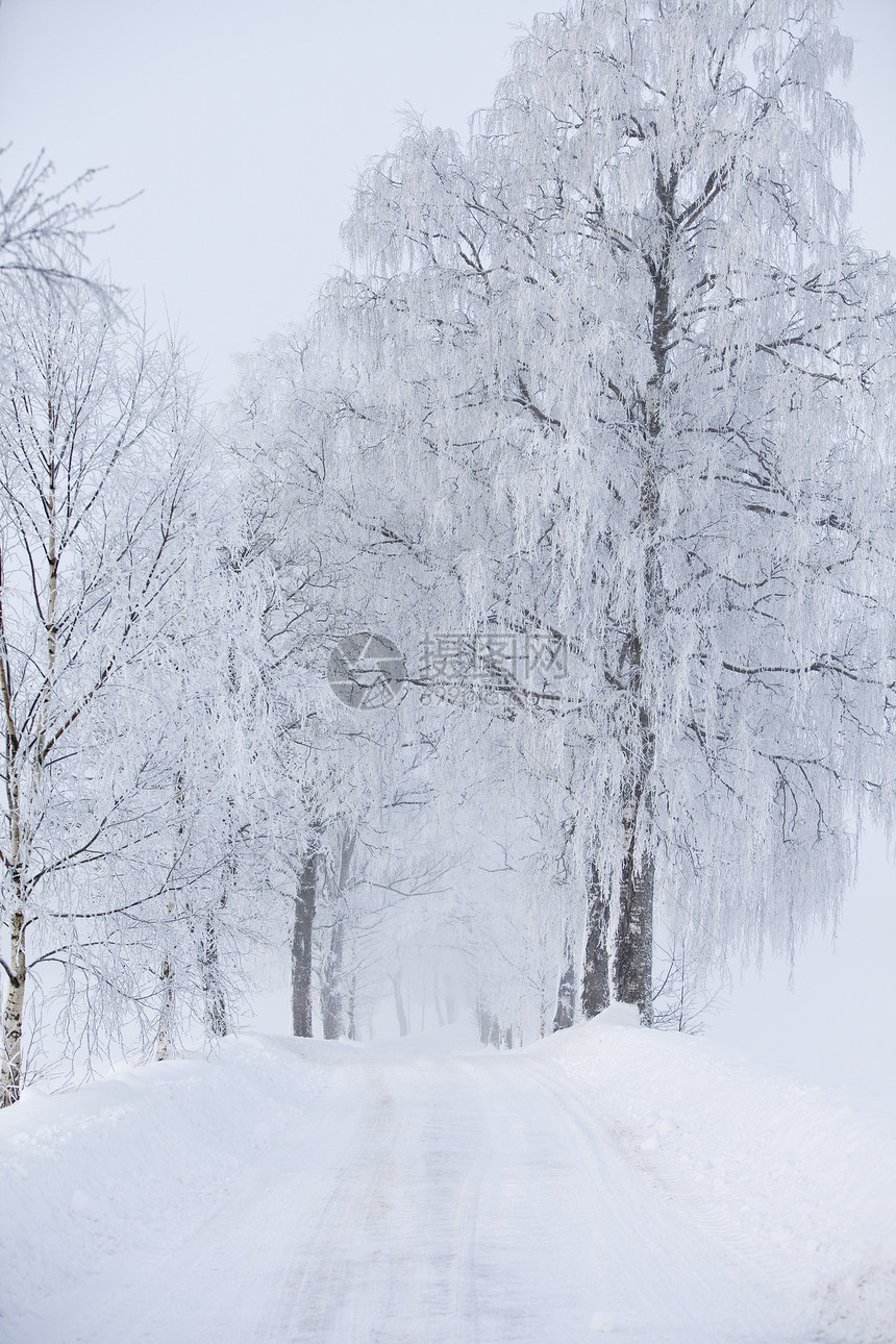 冬季的泥土路温度季节蓝色寒意花园小路降雪白色大路雪堆图片