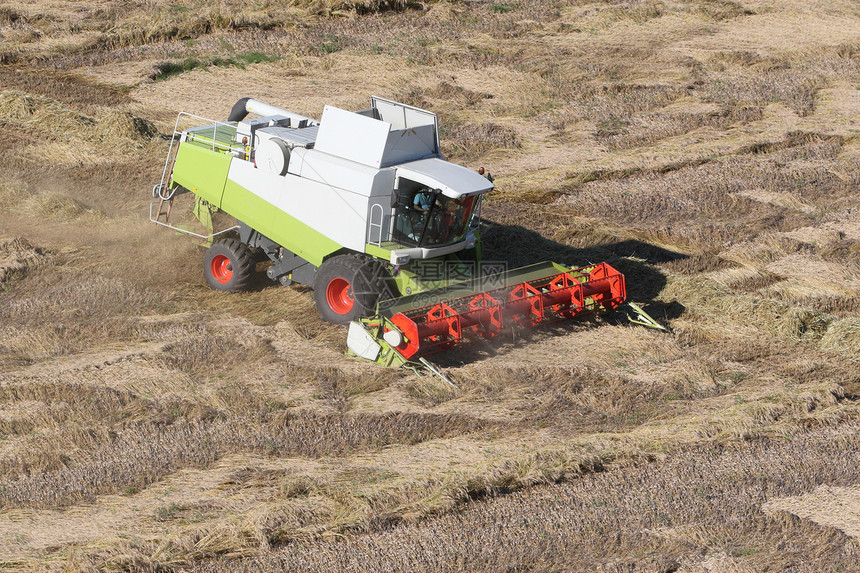 收获玉米田的机器机械农业输送带面包金子谷物拖拉机草地场地工作图片