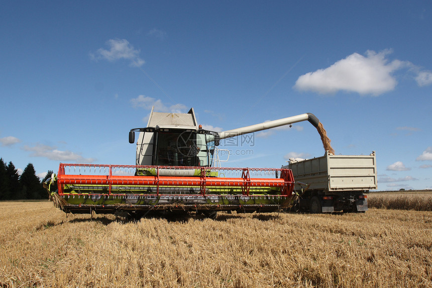 收获玉米田的机器面包天空谷物收成生长植物稻草车削输送带机械图片