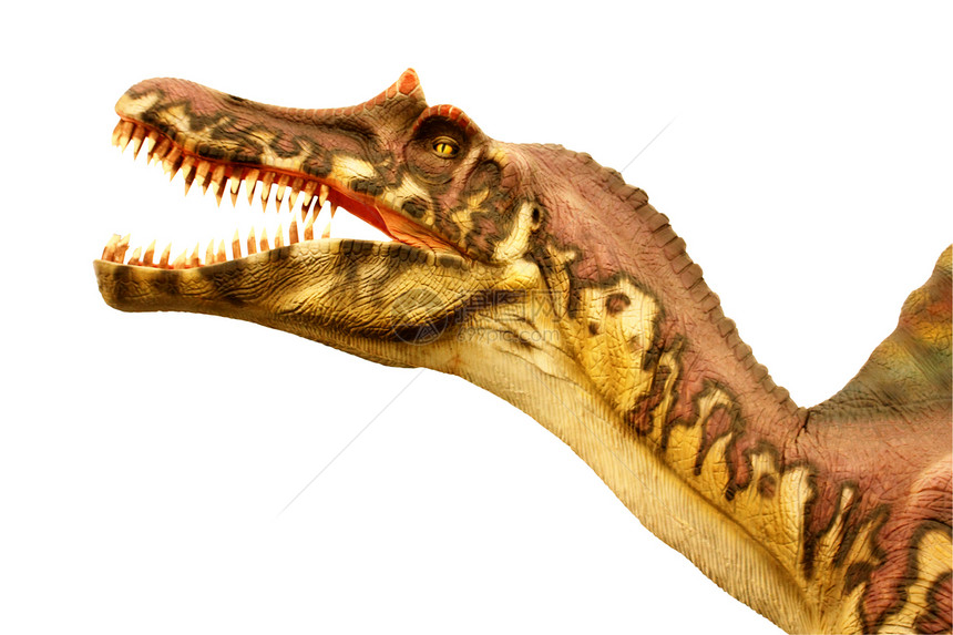 凶恶的恐龙怪物侏罗纪动物食肉牙齿灭绝爬虫图片