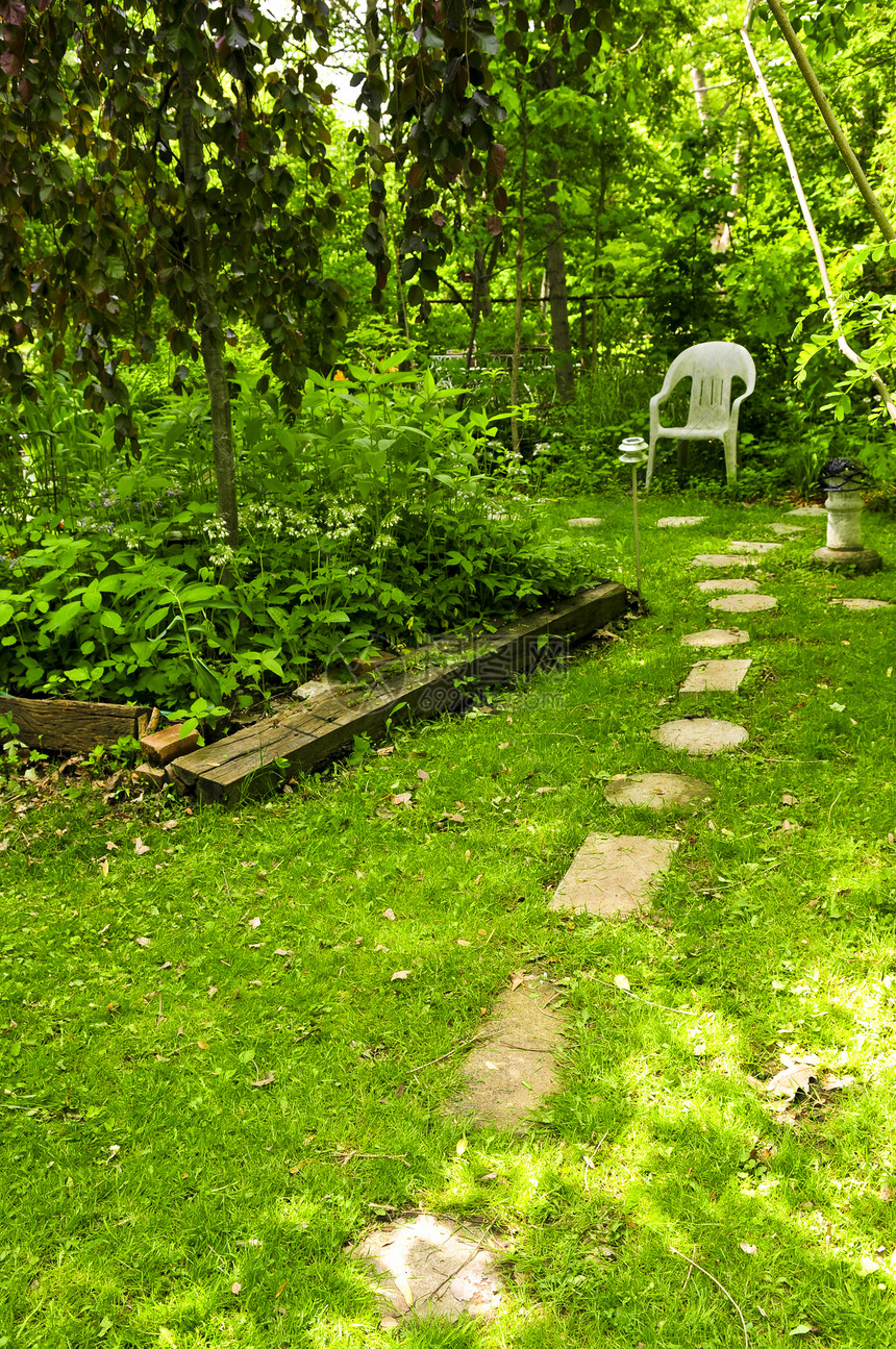 绿色花园花朵晴天角落途径树木椅子绿化后院园林园艺图片