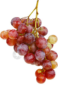 一群葡萄水果红色小路粉色藤蔓剪裁白色背景图片